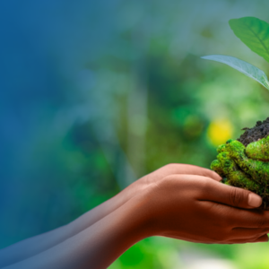 web Banque Postale du Congo (BPC) joins the UN Principles for Responsible Banking